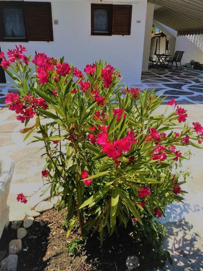 Annamaria House Apartment Laganas Luaran gambar